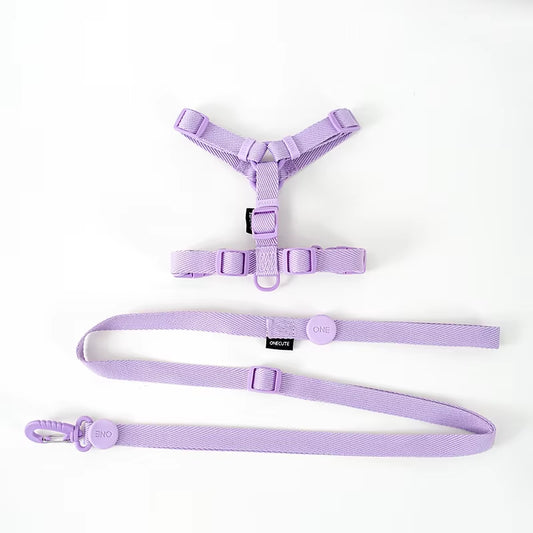 Harness & Lead Set - Purple