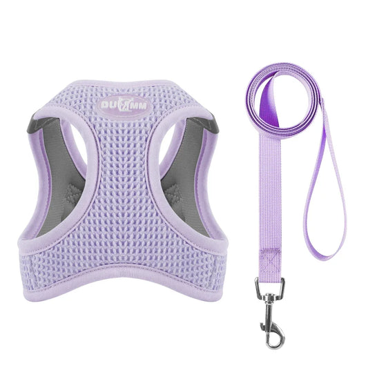 Harness & Lead Set - Reflective Purple