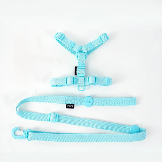 Harness & Lead Set - Blue