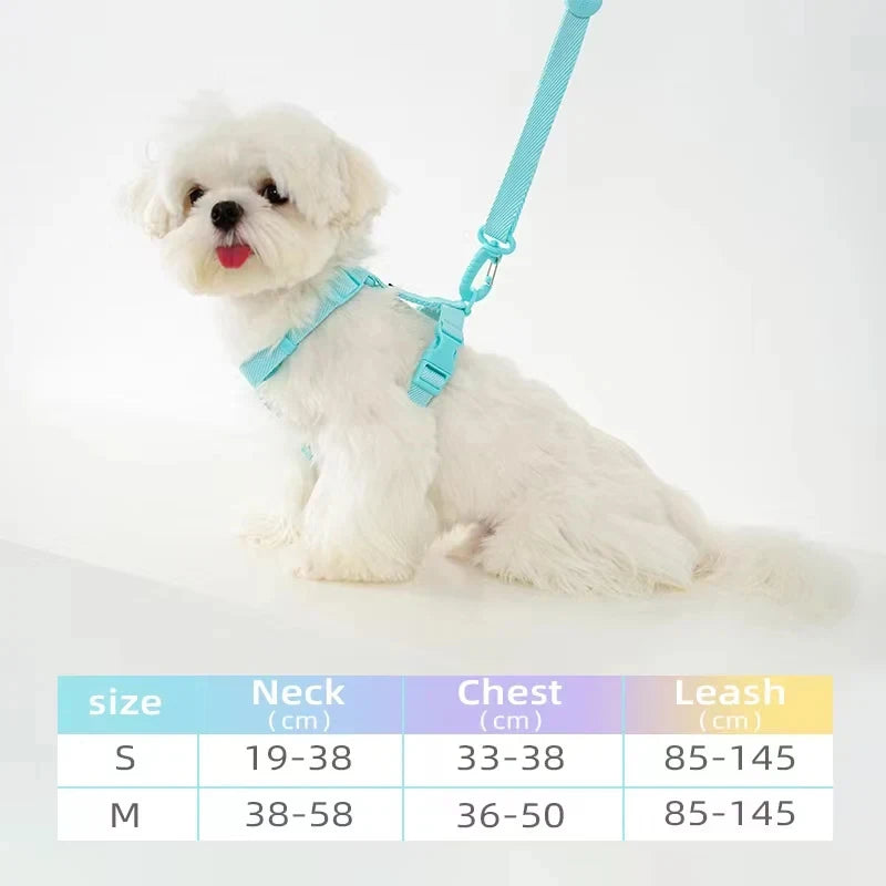 Harness & Lead Set - Blue