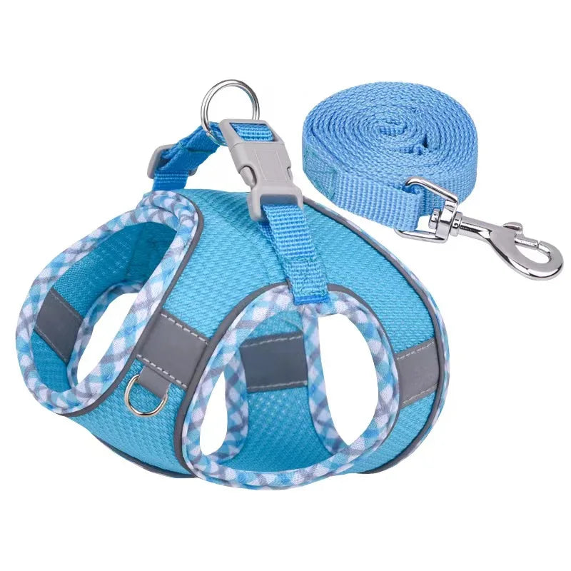 Reflective Lead & Harness Set