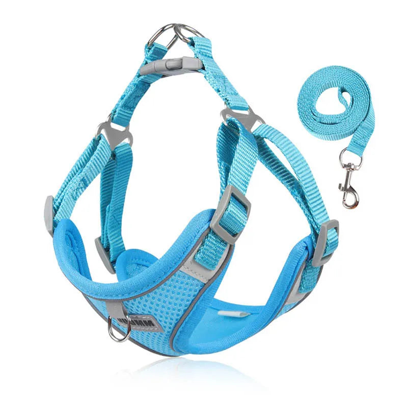 Harness & Lead Set