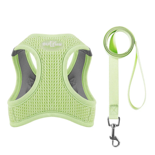 Harness & Lead Set - Reflective Green